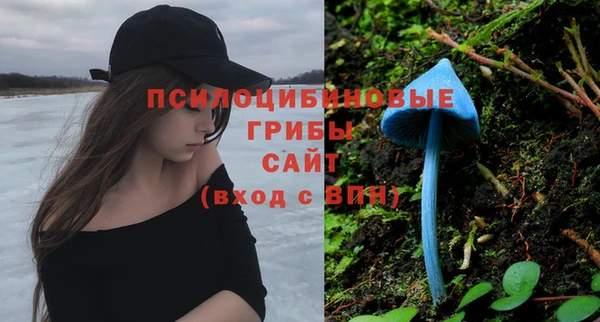 дурь Алексеевка