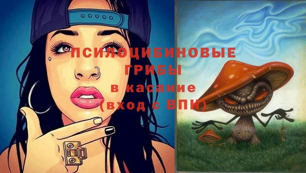 a pvp Алзамай
